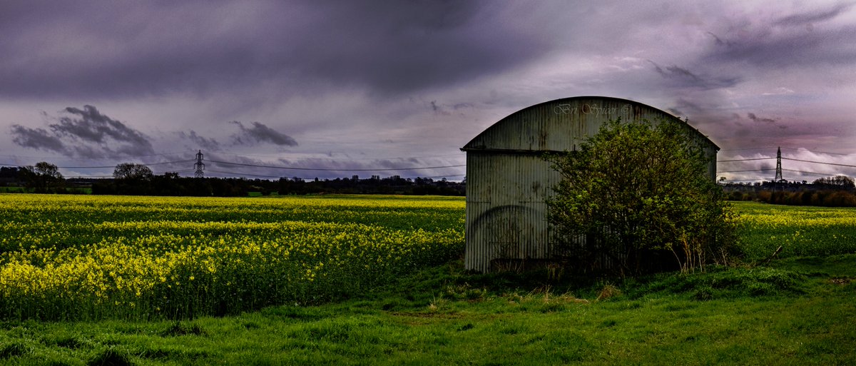 Barn end, Just a barn in a field of Canola in Oxfordshire