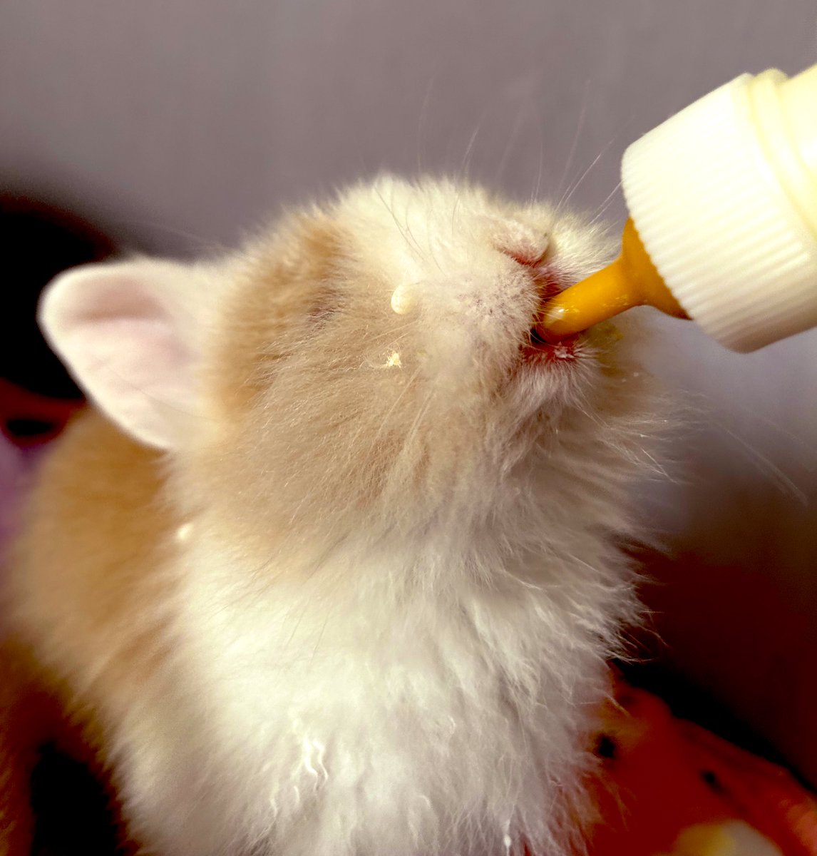 Dat milk is soooo gooooood 🥰🥰🥰