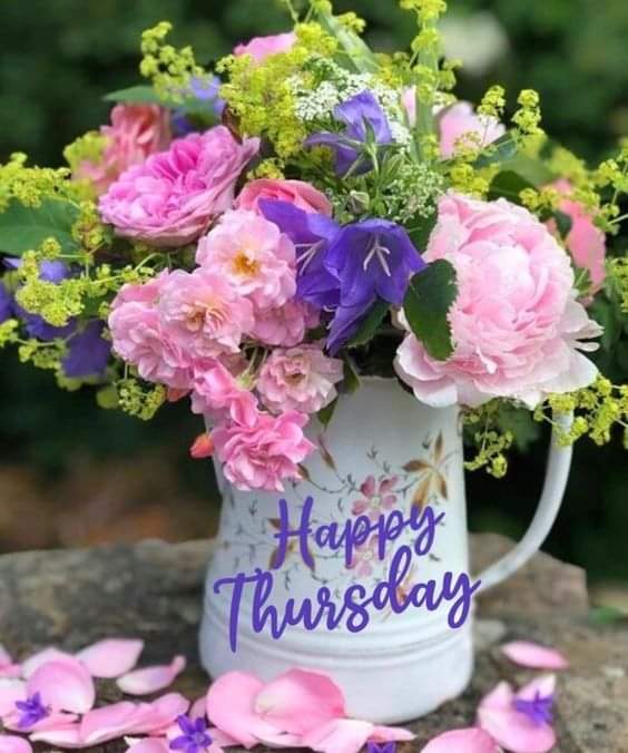 Good morning friends. Happy Thursday! We got lucky last night and the storms missed us 🙏 Have a great day and be grateful for blessings big and small. Much love XOXO