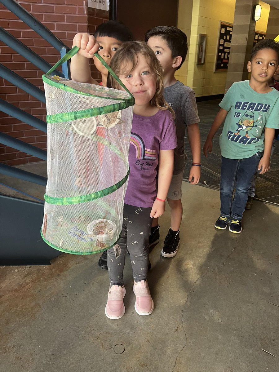 Our PreK students <a href="/KCPS_Rogers/">KCPS Rogers</a> were so excited to release their butterflies. 🦋 They carefully watched as their little caterpillars went through each stage. <a href="/kcpublicschools/">KCPS</a>