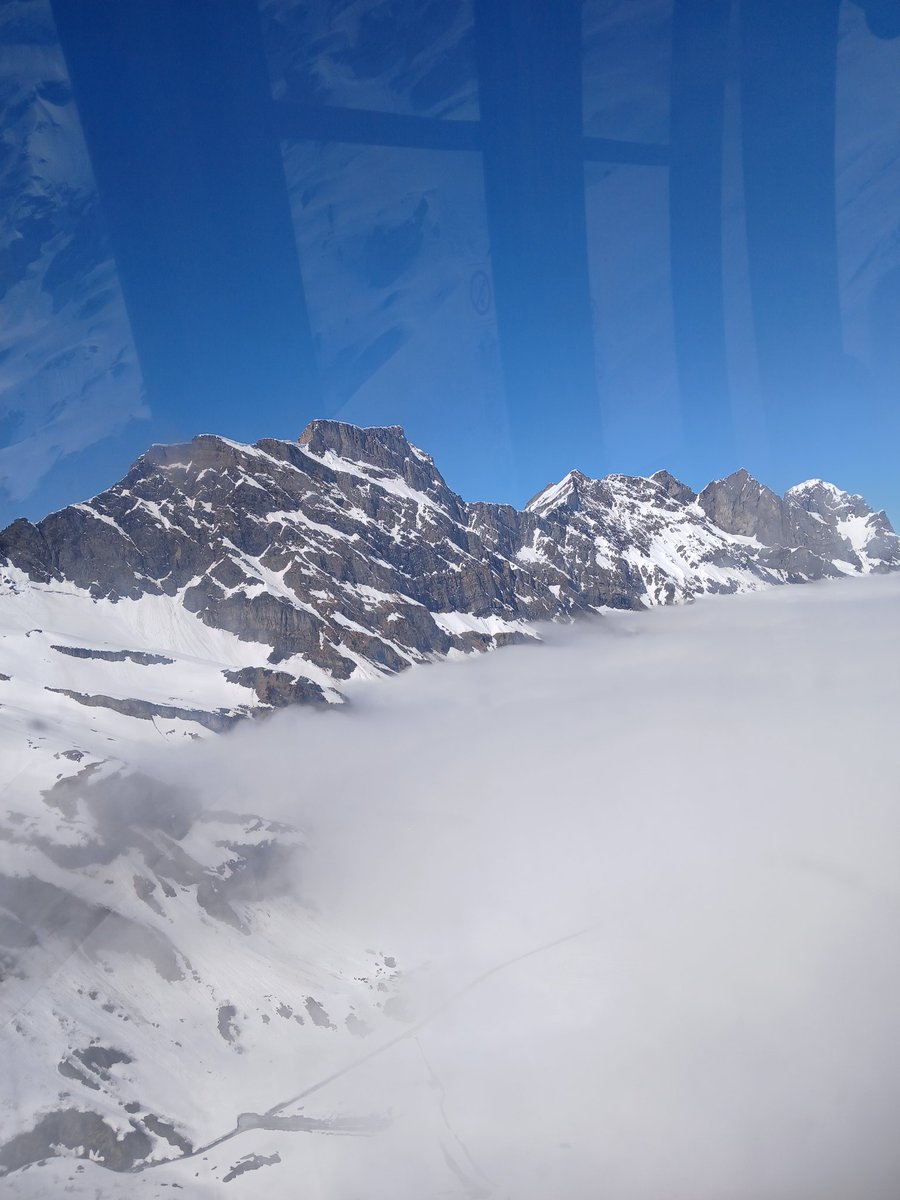 Trafe4Fun's tweet image. 