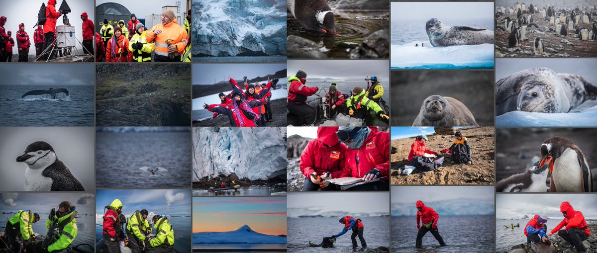 🇦🇶🇨🇱😍 En esta galería fotográfica puedes ver parte de la Expedición Científica Antártica ECA 60 inach.cl/galeria-fotogr… 💙❄️