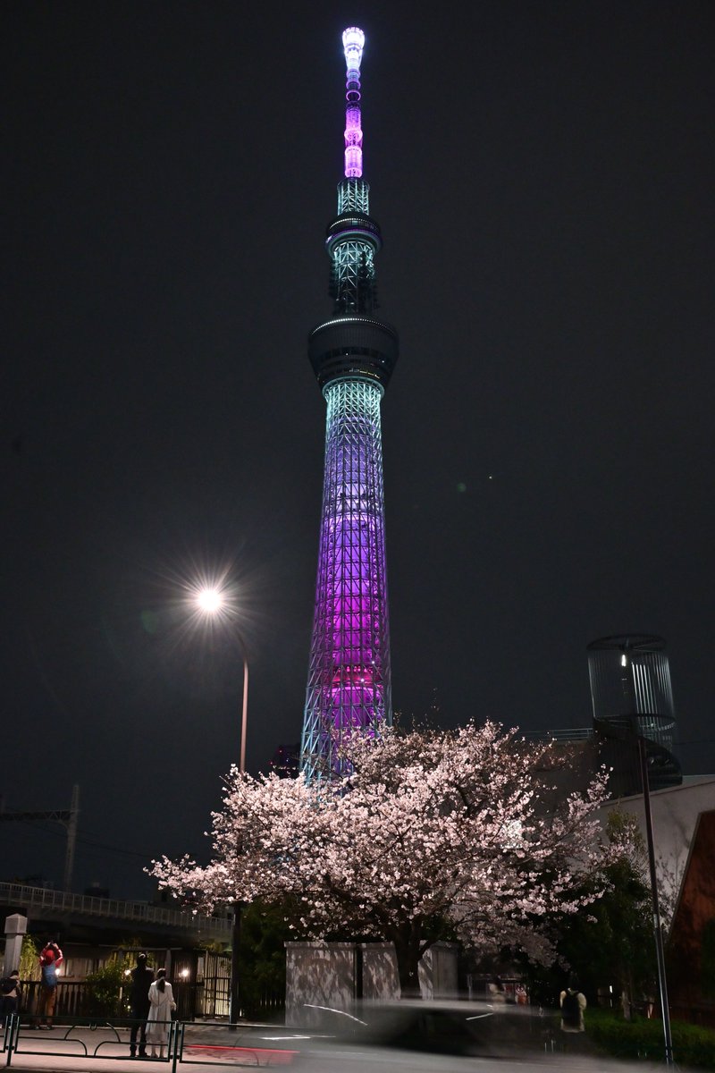 墨田 源森橋の夜桜🌸 2
インスタは→ @kohi80_photo

#夜スナ #夜桜 #夜景 #東京スカイツリー #源森橋 #東京 #墨田の良さを伝えたい #私のすみだ自慢
#landscape #sakura #cherryblossom #nightshot #tokyoskytree #tokyo_night_view #discover #loves_nippon #light_nikon #nikoncreators #tokyotokyo