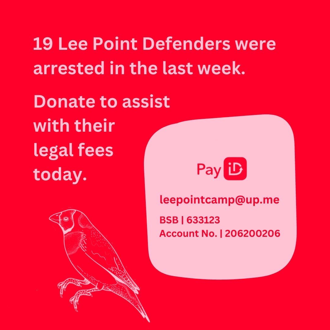 Binybara Camp (Lee Point) tweet media