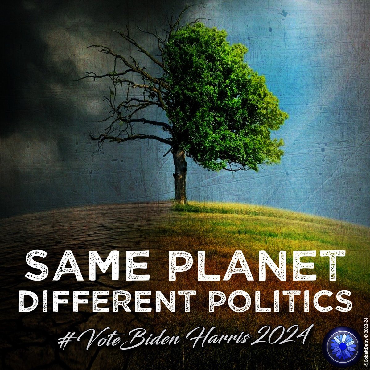 The contrast between Trump and Biden on climate policy could not be more stark. #wtpGOTV24 #DemVoice1 #Fresh Desperate for funds, Trump says $1 billion from oil execs will seal the deal…He will reverse dozens of President Biden’s environmental rules and policies and stop new…