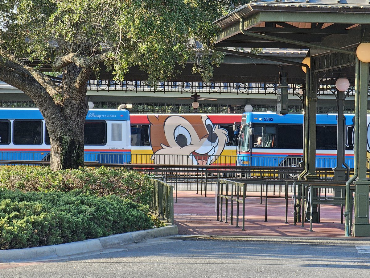 NEW Chip and Dale bus wraps have debuted this morning at Walt Disney World!