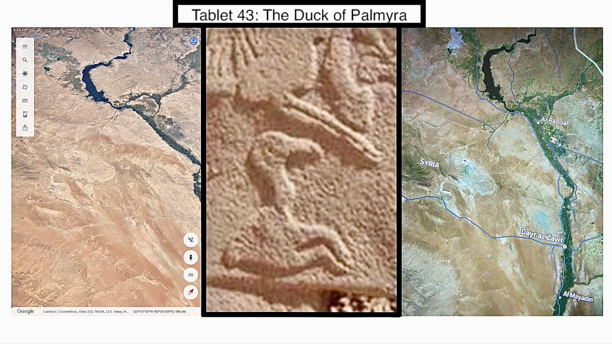 The Daily Göbeklitepe- Tablet D43, The Vulture Stone!
The Duck of Palmyra is beautiful! 👏  And the triangle of Ar Raqqah formed by the Long Legged Euphrates Bird and Head of the Fish is perfect!
This one is easy to see, so I showed it raw before I draw! 
Short video later.…