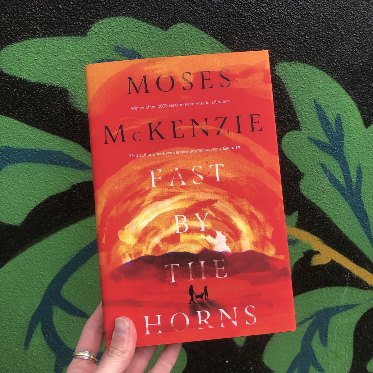 FAST BY THE HORNS is out in the world today. Happy pub day @eastsidemoses! From the Hawthornden Prize-winning author of AN OLIVE GROVE IN ENDS, comes a powerful story of broken dreams and divided loyalties. Order your copy - geni.us/fastbythehorns