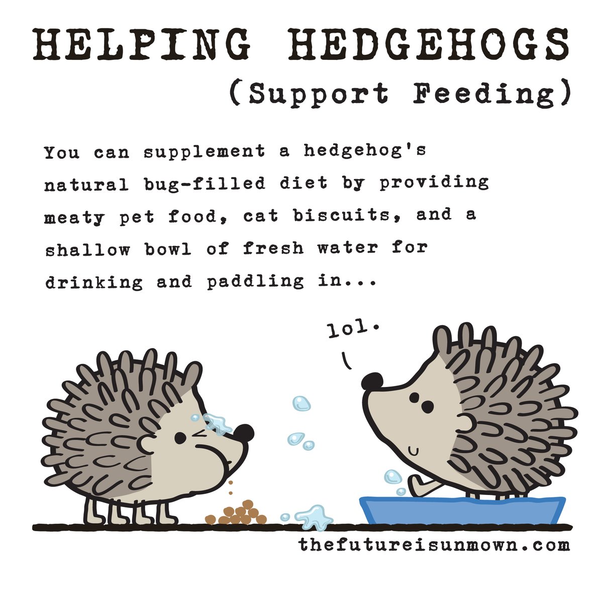 Feeding time! 🦔💚 #HedgehogWeek #hedgehog #HedgehogAwarenessWeek #wildlife #wildlifegarden #thefutureisunmown