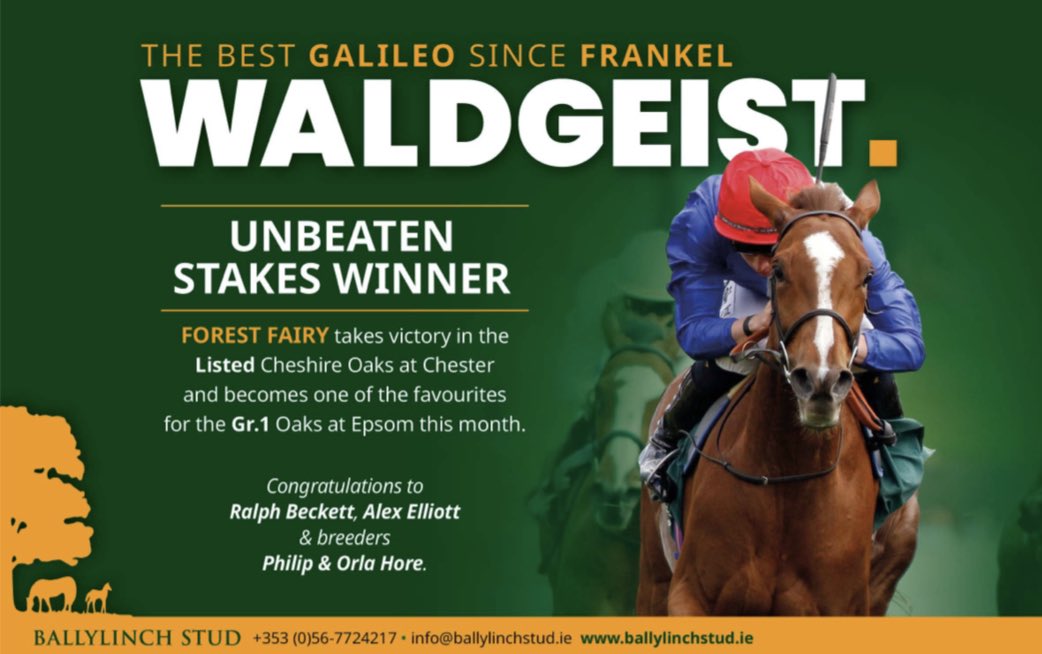 The best Galileo since Frankel: WALDGEIST, standing at @BallylinchStud 🫡 Sire of Forest Fairy, who won the Listed Cheshire Oaks at Chester and becomes one of the favourites for the G1 Oaks at Epsom this month.