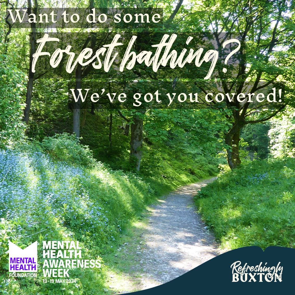 It’s #MentalHealthAwarenessWeek!

Want to do some forest bathing? We’ve got you covered in #Buxton… covered in canopies!  🌳🌳🌳

#MomentsForMovement #MHAW2024
#HighPeak #PeakDistrict #Derbyshire #SK17 #RefreshinglyBuxton #VisitBuxton @mentalhealth @BCA1967  @BuxtonGrapevine