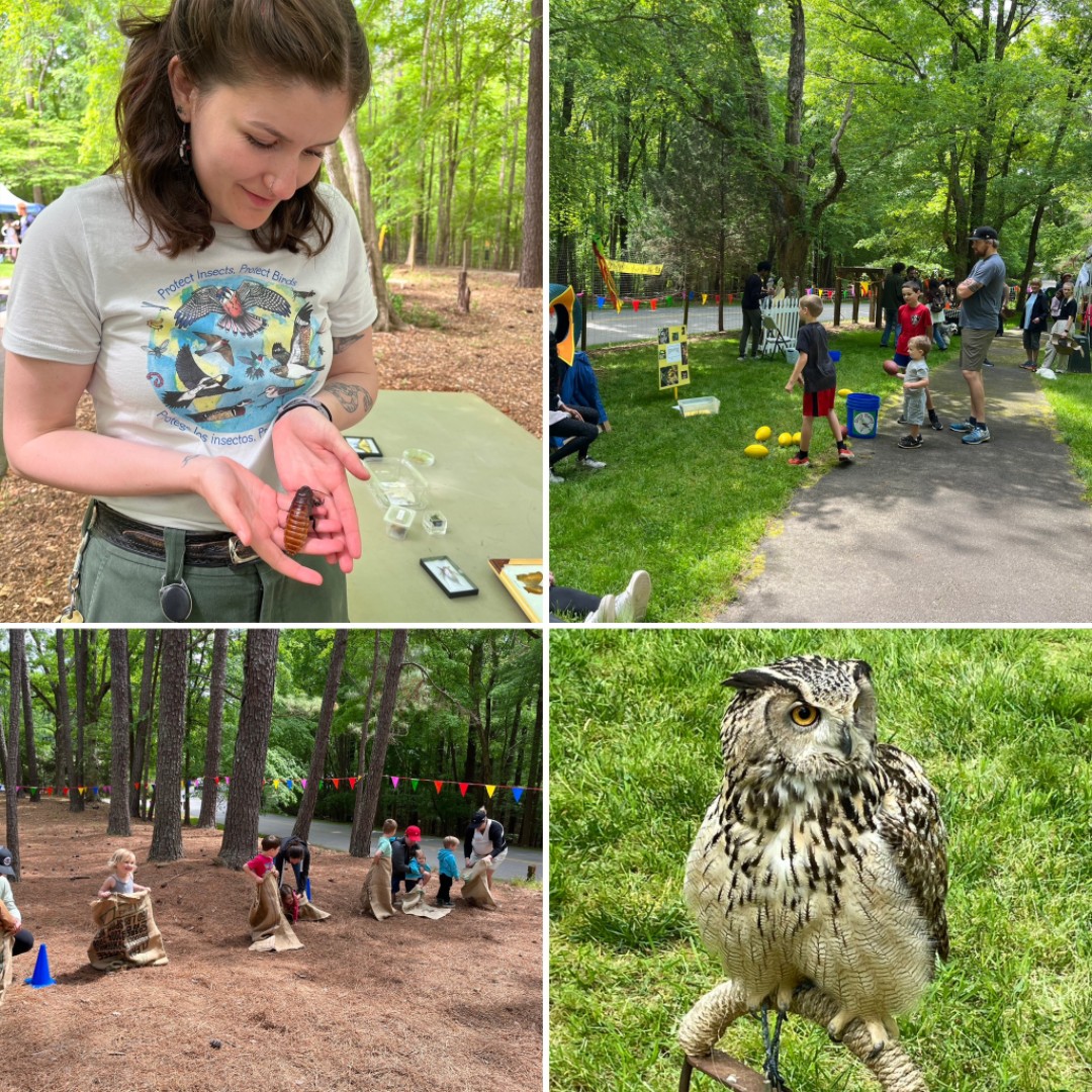 #BlueJayPoint's Songbird Celebration event in April was a great time thanks to the hard work of the event's volunteers, staff, and exhibitors!. This year's theme, Protect Insects, Protect Birds, gave visitors a chance to learn about how insects interact with plants and wildlife.
