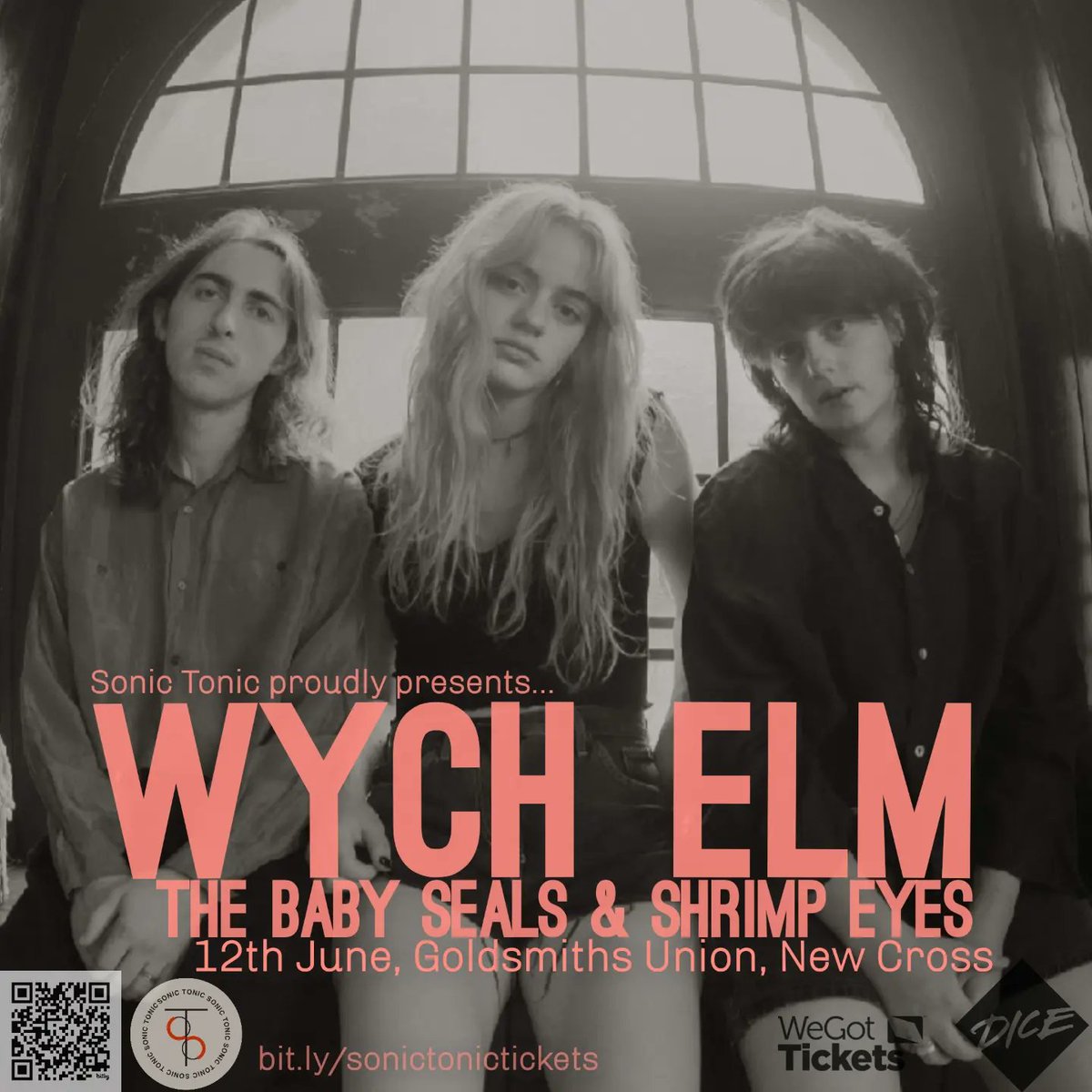 Pleased to announce the Baby Seals and Shrimp Eyes will be joining Wych Elm at Goldsmiths!