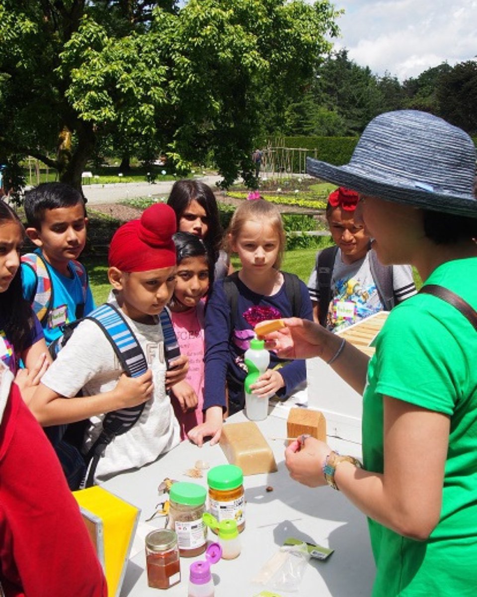 Teachers - treat your students to an unforgettable field trip experience at the Pollinator Days Field Trip Festival! 🐝 Register for May 29, 30 or 31 and explore fun games and educational pollinator activity stations throughout the Garden! Learn more at: bit.ly/pollinatordays…