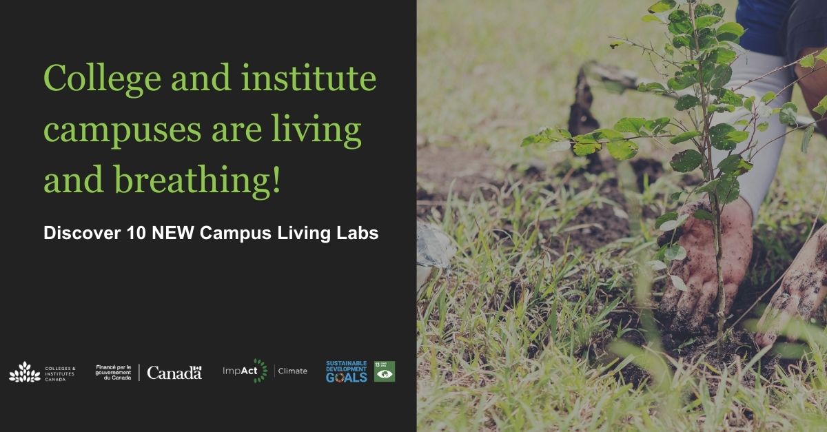#DYK? @CanadoreCollege and @ConestogaC are reducing food waste on campus through their Campus Living Lab Projects, cutting greenhouse gases by at least 11,000 carbon dioxide equivalents. 🌱@CollegeCan @environmentca @SDSNCanada Read the report ► ow.ly/RUp850RrioF