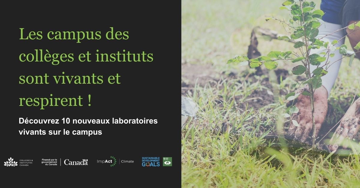 #LSV? @CanadoreCollege et @ConestogaC réduisent les déchets alimentaires sur le campus grâce à leurs projets de laboratoire vivant sur le campus, réduisant les gaz à effet de serre d'au moins 11 000 équivalents de dioxyde de carbone. 🌱 Lire le rapport ► ow.ly/Qrgo50RvOkS