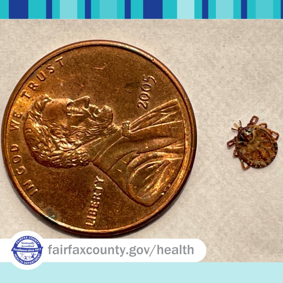 Get bit by a tick? Getting ticks identified by us is now easier than ever! Check out our online photo submission form: bit.ly/45LOJJC?utm_so… #FighttheBite