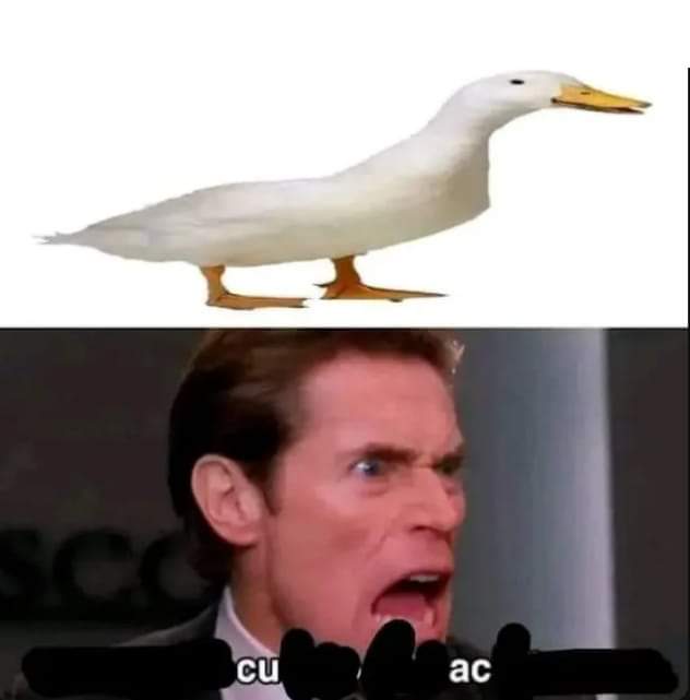 Shitpost Aleatorio (@shitpostrandom) on Twitter photo 