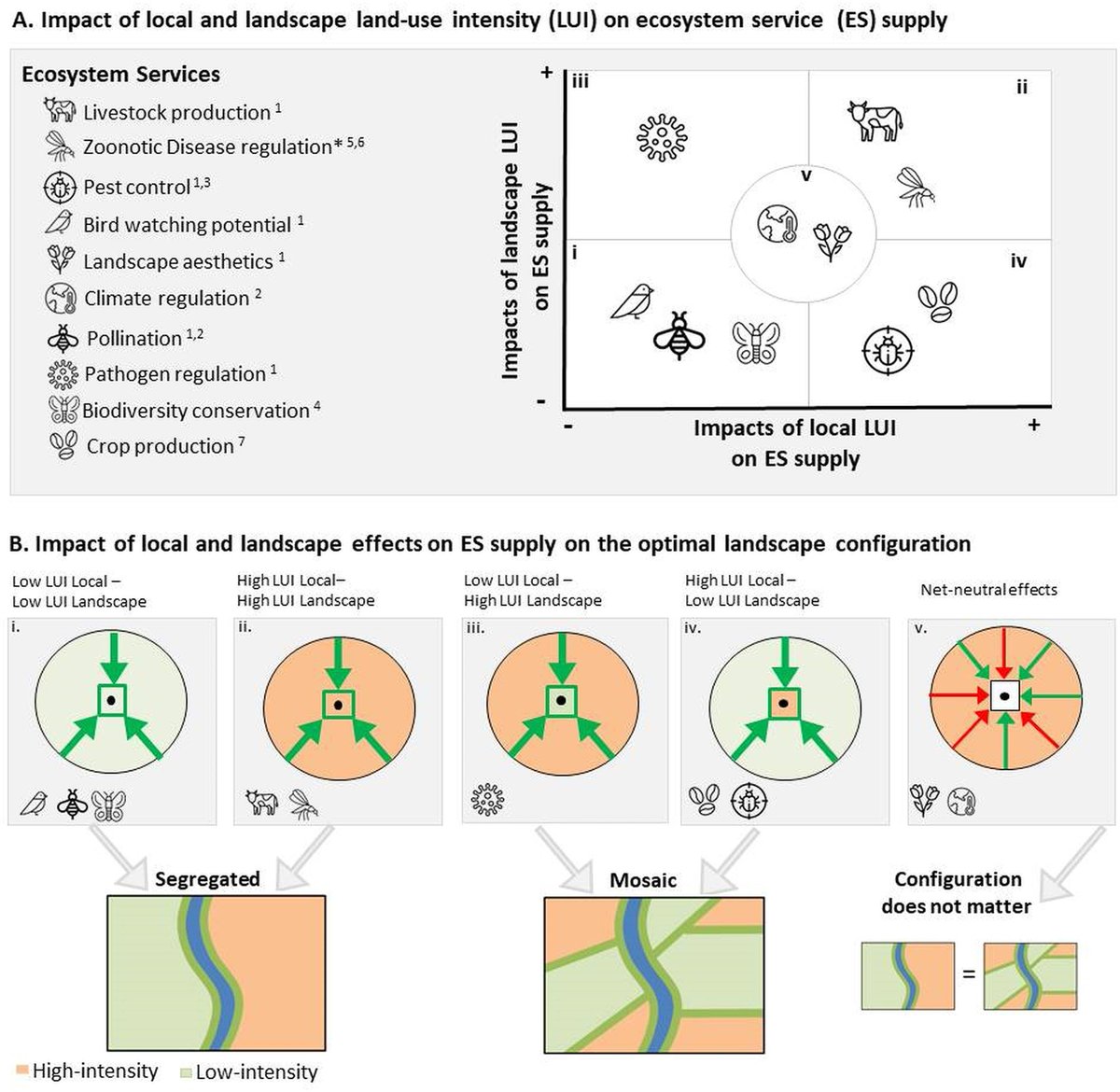 Out today in Ecosystem Services and led by Lari Boesing: ‘Identifying the optimal landscape configuration for landscape multifunctionality’ authors.elsevier.com/sd/article/S22… We present a simple theoretical framework to predict when landscapes should be in a fine mosaic or segregated