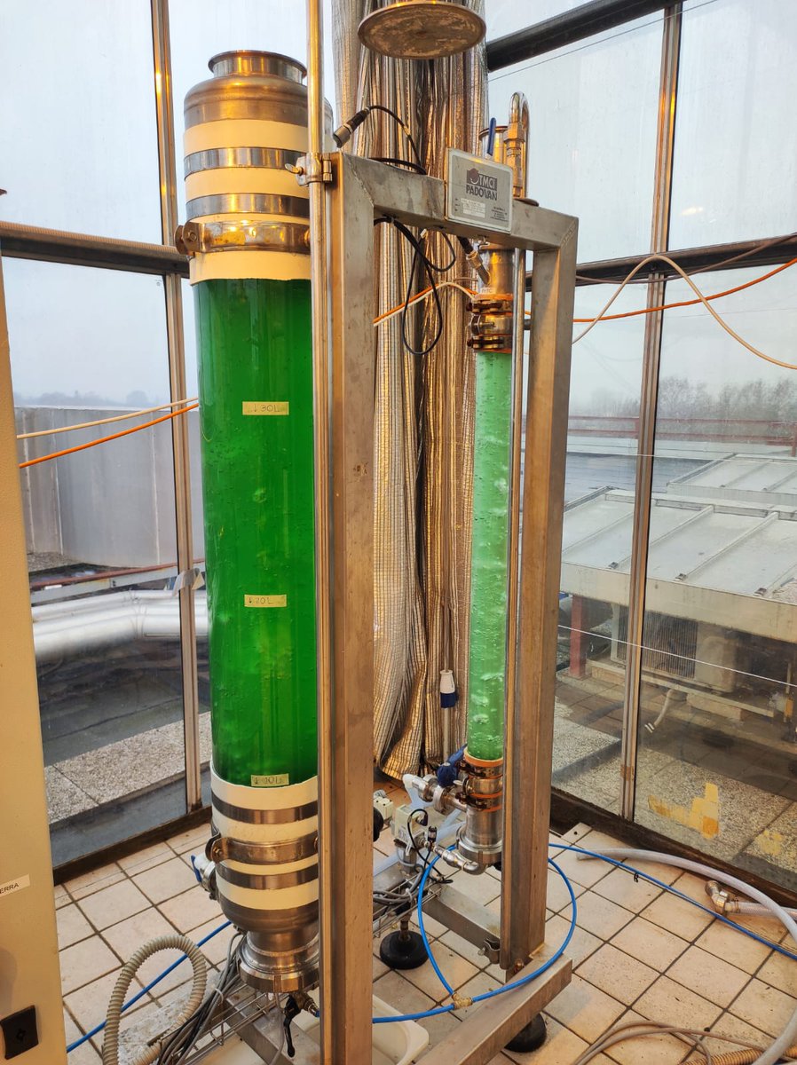 CooCE project (@cooceproj) on Twitter photo Reactors for #PHA production are running! Synechocystis is converting #CO2 to #bioplastic in this innovative system in the greenhouse of our department <a href="/DiBio_UniPD/">Department of Biology – University of Padova</a> Reactors for #PHA production are running! Synechocystis is converting #CO2 to #bioplastic in this innovative system in the greenhouse of our department <a href="/DiBio_UniPD/">Department of Biology – University of Padova</a>