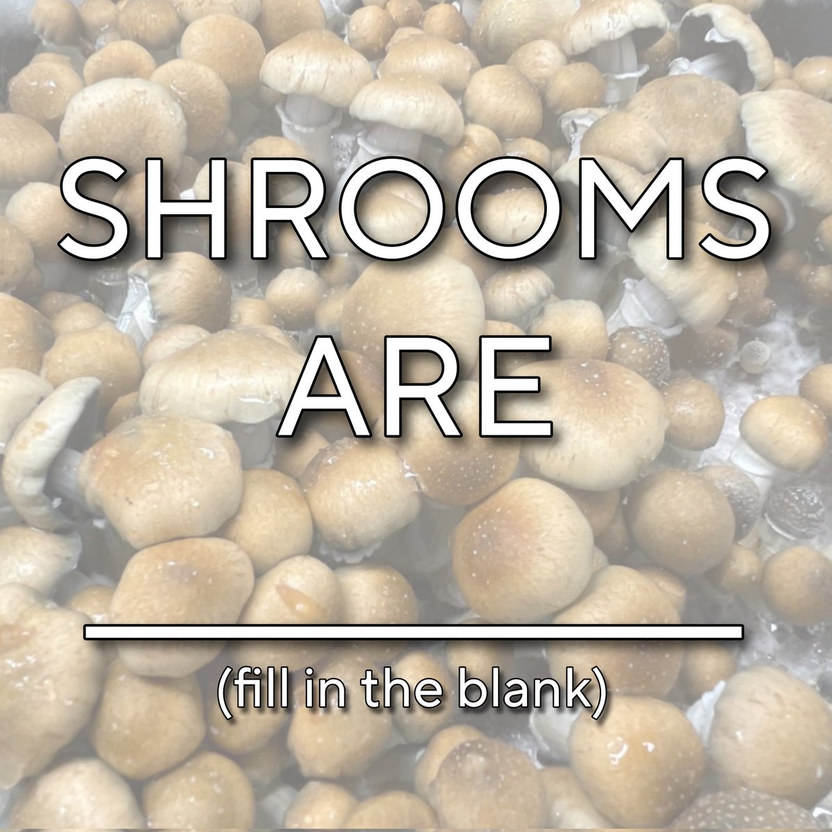 Shrooms are _______ (fill in the blank) 👇