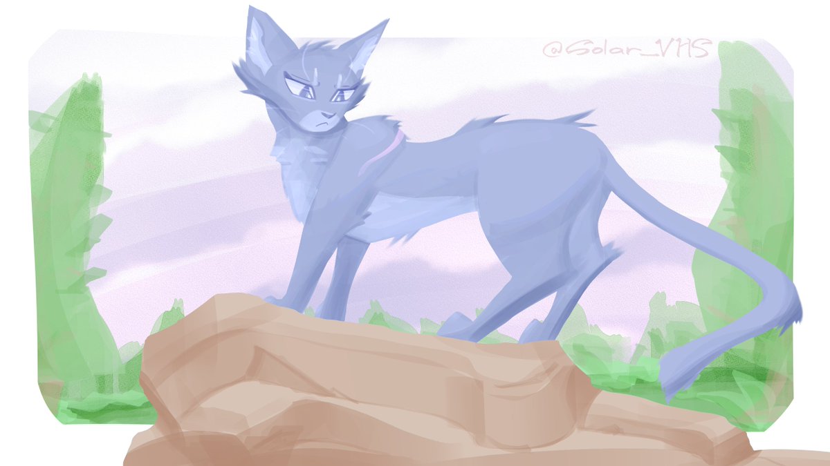 It's Bluestar, up on the highrock
#warriorcats