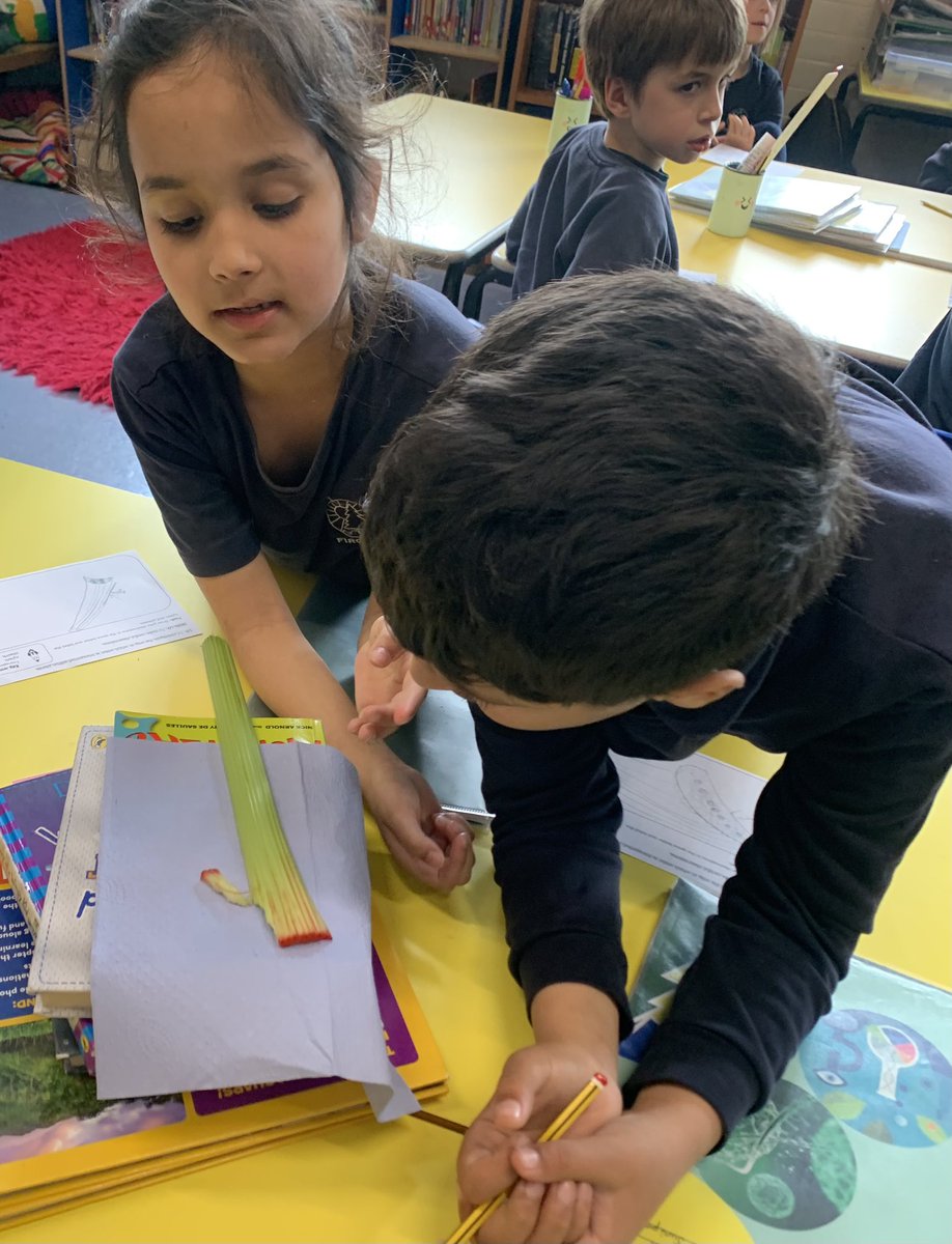 Y3_Fircroft tweet media