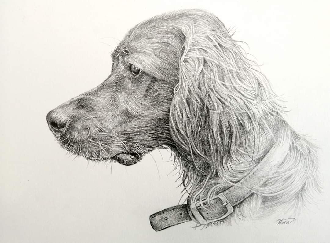 #dogs #drawing #art