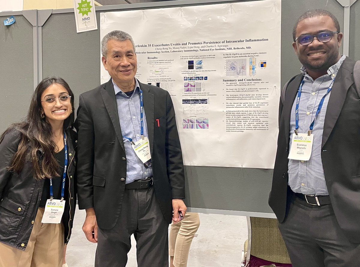 New to the world of vision research!
👁️👩🏽‍🔬First conference of my postdoc✅ @ARVOinfo @NatEyeInstitute @NIH_OITE  #ARVO2024 #NEI #womeninSTEM #diabeticretinopathy