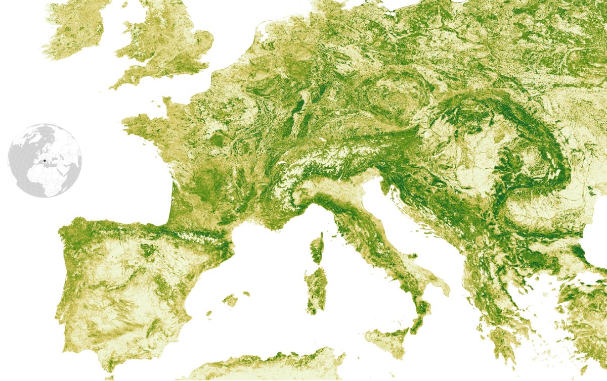 A forest is more than a collection of trees, and estimating global biomass requires more than one product. Our latest blog breaks down our report comparing the Planet Forest Carbon Diligence products to 8 independent forest biomass datasets. Read more: planet.com/pulse/forest-c…