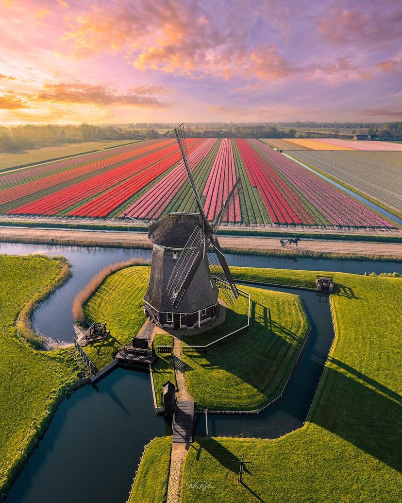 Beauty of the Netherlands - a thread 🧵