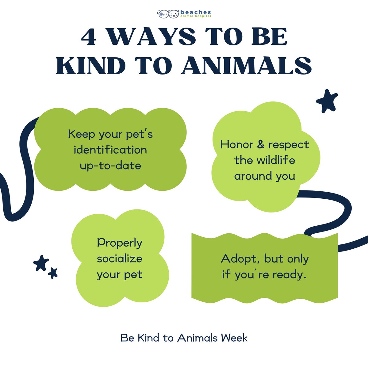 Transform the world with kindness! 🌟 Here are 4 simple ways to show love and care to animal friends everywhere. Let's make every day #BeKindToAnimalsDay 🐾

#love #instagood #cute #pet #petstagram #photooftheday #instamood #adorable #instapet