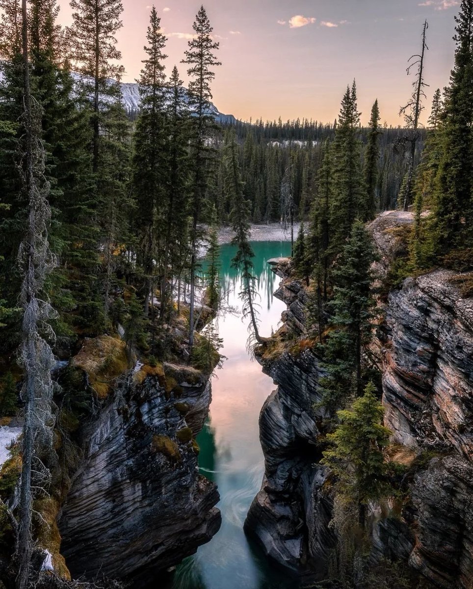 Athabasca Falls, Jasper AB