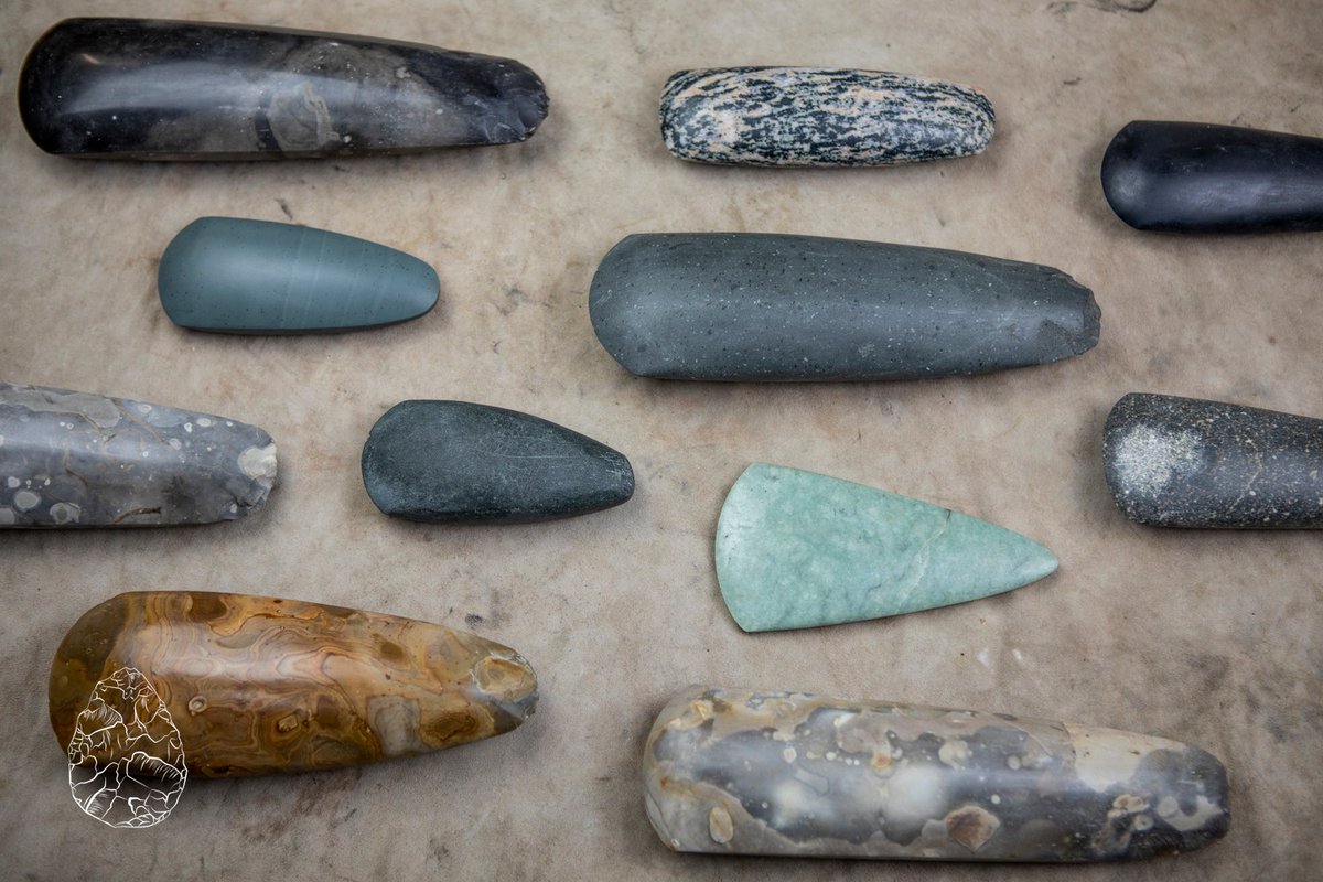 From all corners, Neolithic axes hold their own stories in stone across hundreds of miles & many of hours flaking then grinding. These tools, and the quarrying to make them had one of the first major impacts on the landscape in Britain just under 6000 years ago. @emmalouwynjones