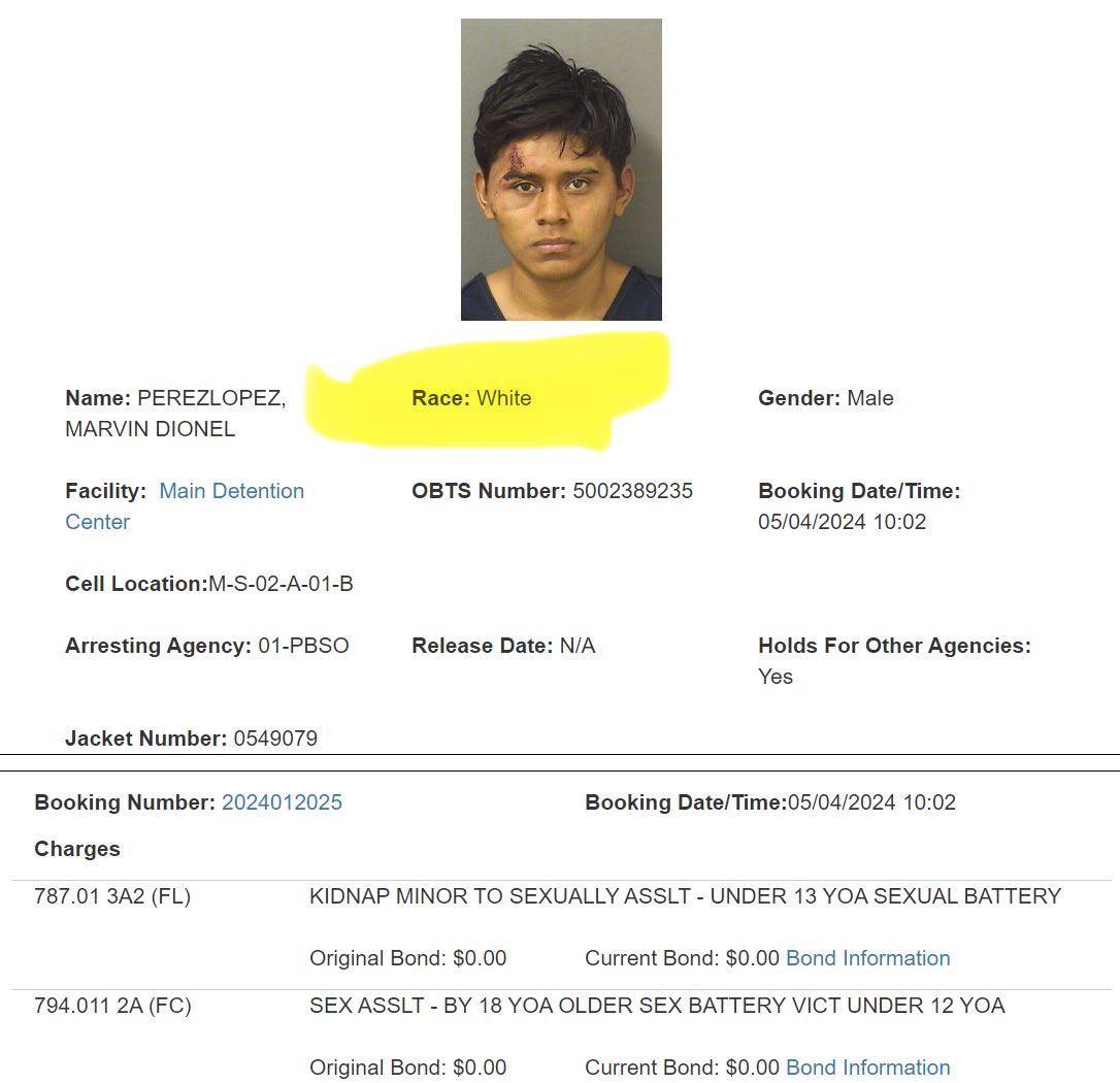 Why is the illegal alien who just raped a child listed as White?