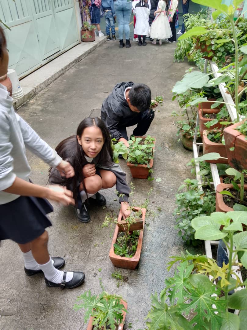 Sistema de Riego, limpieza, deshierbe, proyecto todas las manos a la Siembra, EN Pedro María Morantes #DiaDeLaVictoria #MadreEsAmor #Madrid #AEstaHora .@ComunasVE_