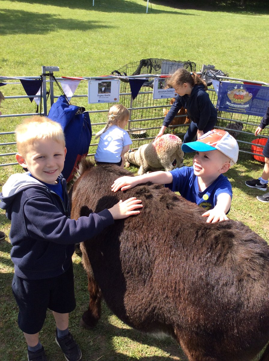 Early Years had a fantastic experience today to bringing their learning to life - a visiting farm! The children loved petting the animals and finding out all about them #magicmoments