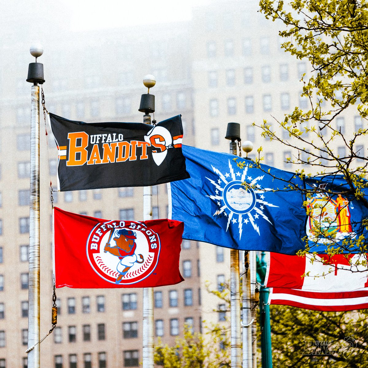 The orange and black spotted in downtown Buffalo. 👀 #LetsGoBandits | 🎟️: bit.ly/4boamlt