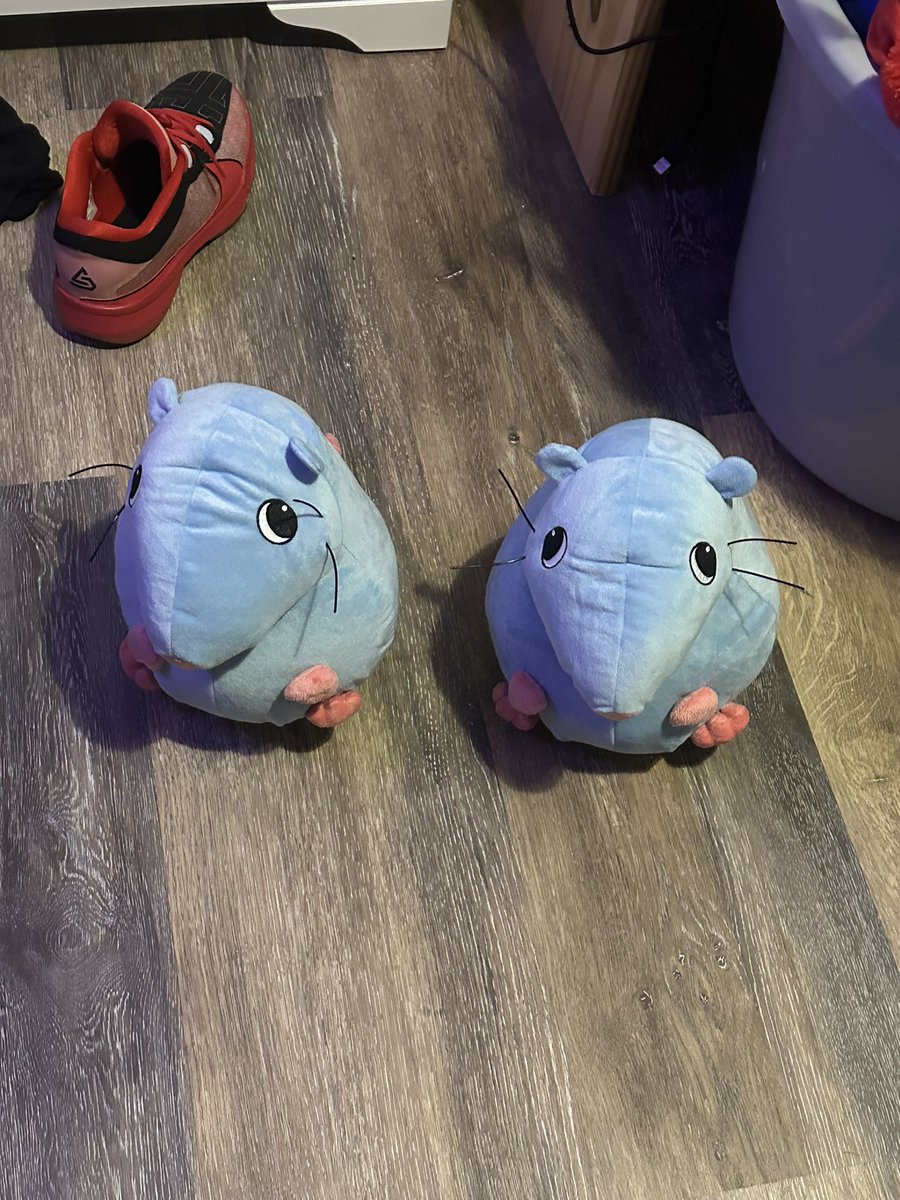 HEY.
SO.
GOT ANOTHER PACKAGE TODAY. 
FANGAMER SENT ME ANOTHER STUPID RAT PLUSH EVEN THOUGH I ONLY ORDERED ONE???
HE’S MULTIPLYING.