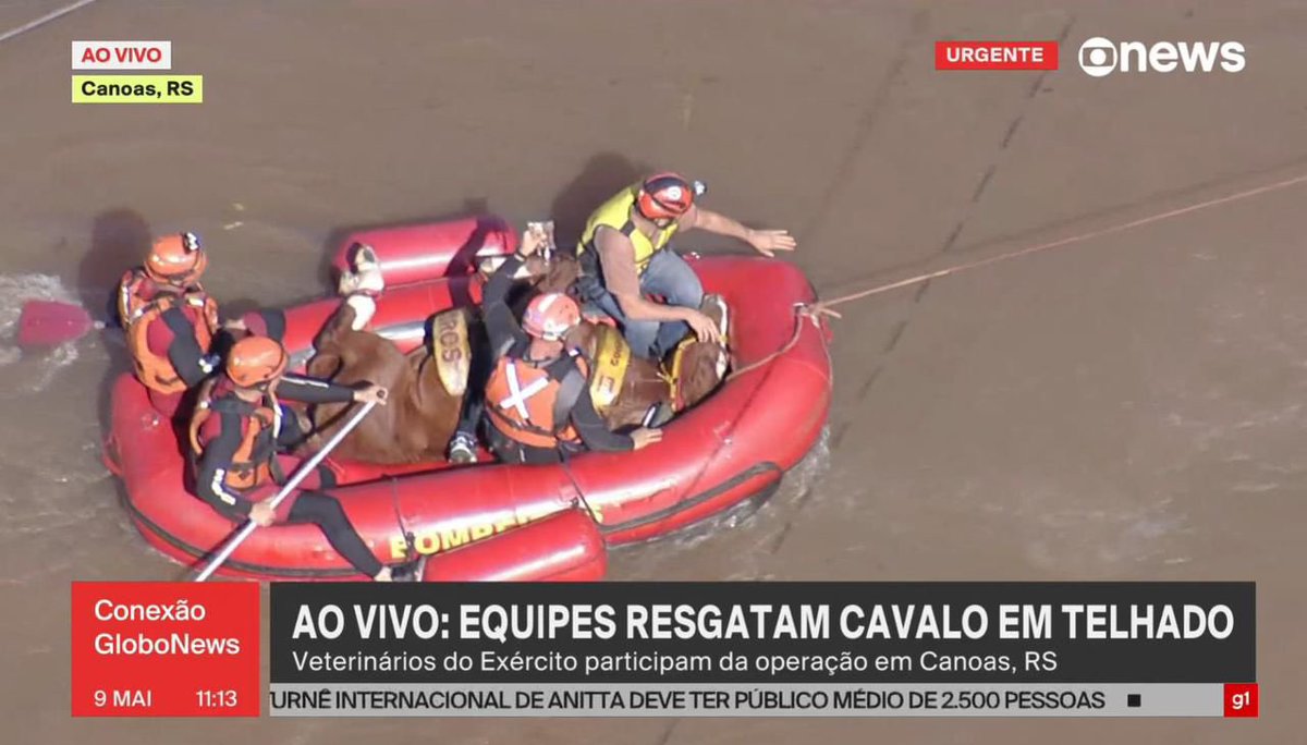 Em meio à situação grave e triste que está acontecendo no Rio Grande do Sul, essa notícia traz um sentimento de esperança e fé por dias melhores 🙏🏽 A égua Caramela foi resgatada hoje em uma verdadeira força-tarefa do Exército Brasileiro com o Corpo de Bombeiros e já está…