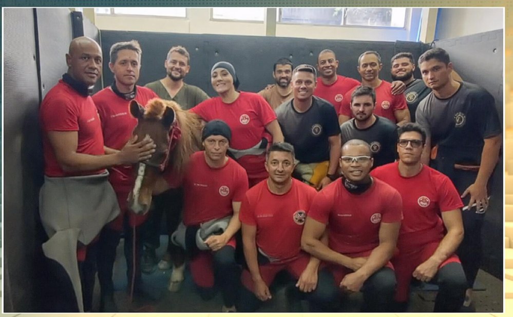 LuTTozzi's tweet image. O Caramelo  virou fêmea e agora se chama Valente!
Macho ou fêmea, vida salva!