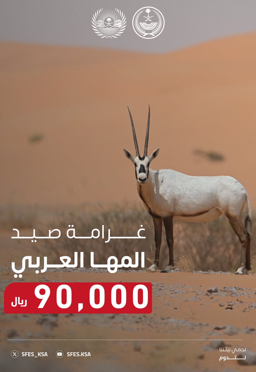 تبلغ عقوبة صيد المها العربي (90,000) ﷼. #الأمن_البيئي