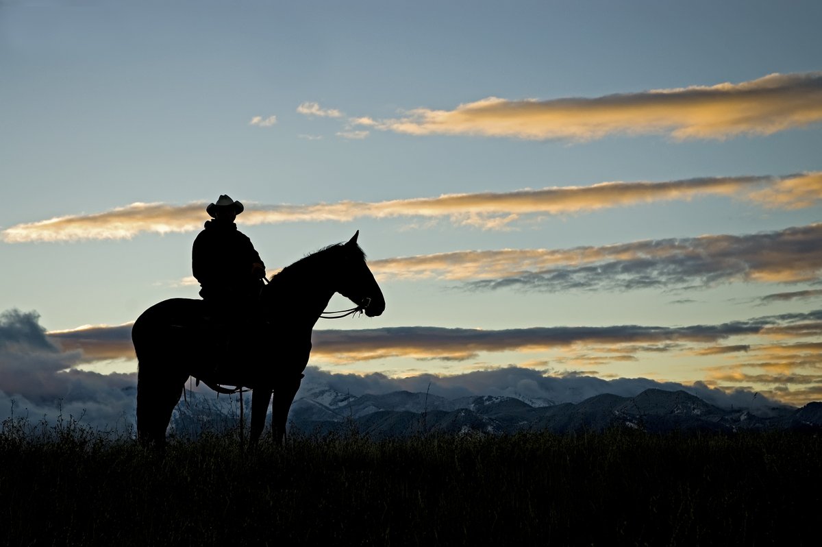 The Source for Everything Equine 
Find out more about Western Riding here tinyurl.com/4b58tfzb
#equine #horses #westernriding #westernstyle #cowboyhat