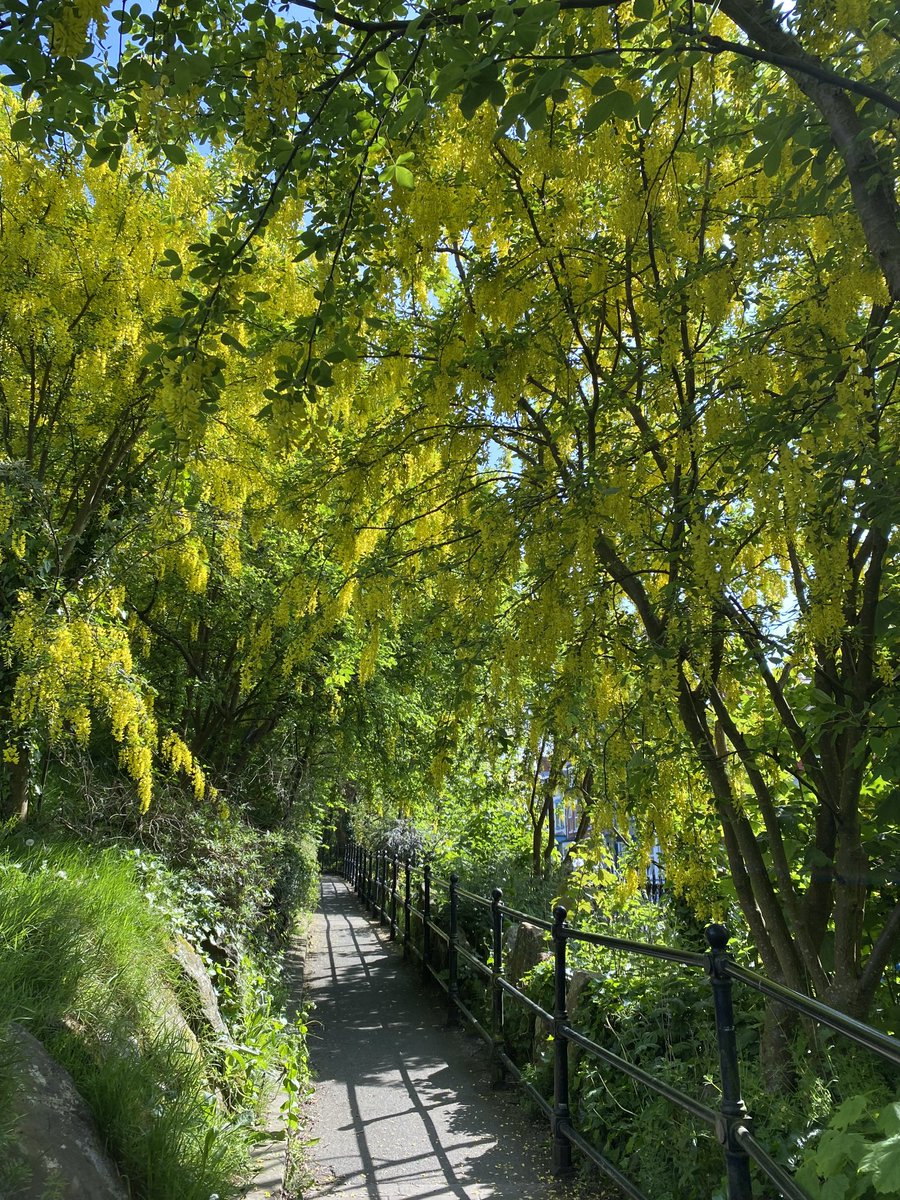 Derby park tweet media