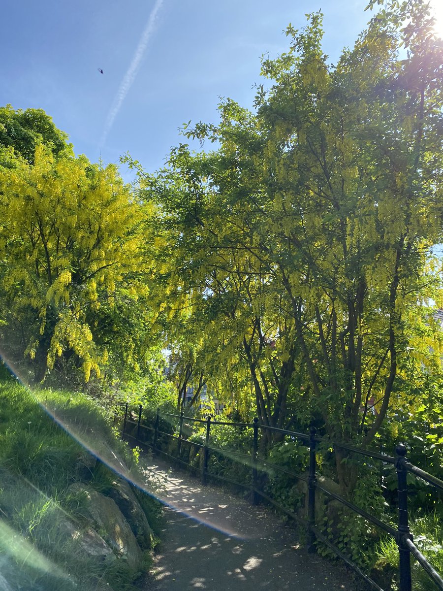 Derby park tweet media