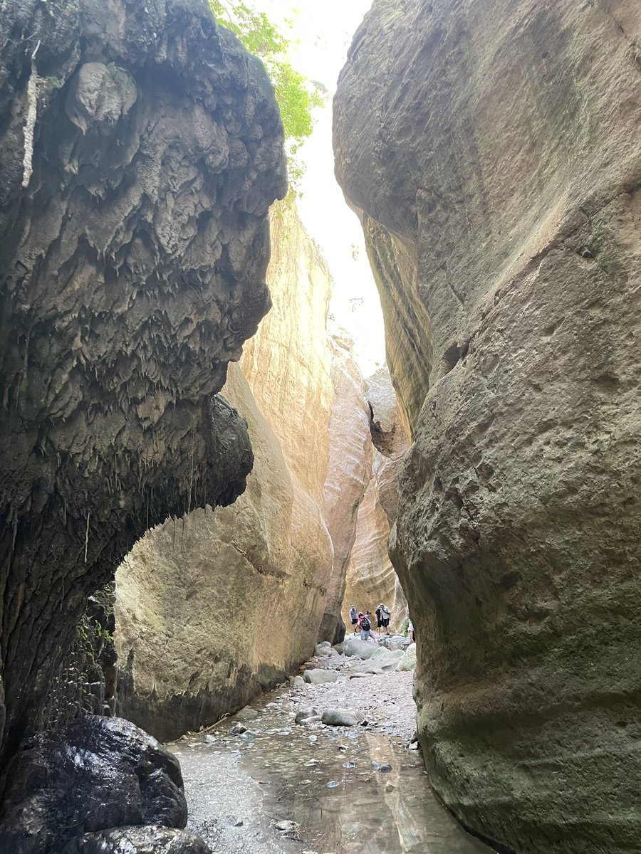 Avakas Gorge is near the bay of Toxeftras in the province of Paphos. Surrounded by a plethora of wild flowers, fauna, wild fig trees, and flora such as pistachia, oleander, porcupines, along with hares, lizards & frogs. #AvakasGorge #Akamas #Paphos #Cyprus #Gorge #NatureTrail