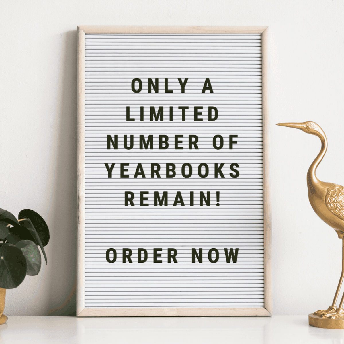 Hey  Rockets! We only have 45 yearbooks left to purchase for this year! Once  they are gone, they are gone! Have you purchased your kiddo's yearbook  yet? Deadline for purchase is next Friday, May 17th.  Buy now here--> bit.ly/49Cuj6C