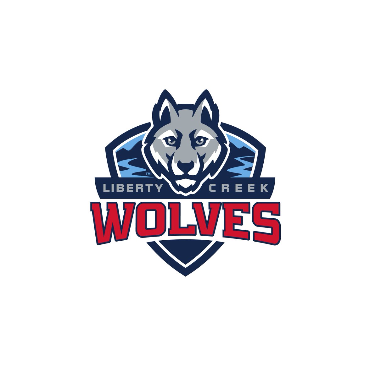 Tennessee STEM Innovation Network tweet media