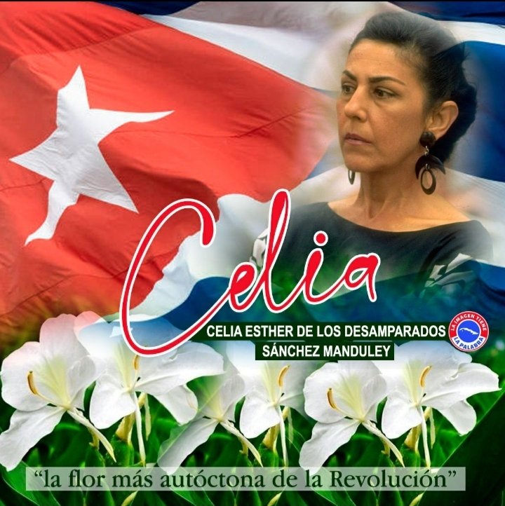 #Cuba recuerda a la flor más autóctona de la Revolución, Celia Sánchez Manduley,  en el 104 aniversario de su natalicio. Admirada y querida por el pueblo que apreció su humanismo y sencillez. Su ejemplo se multiplica!. #CeliaVive
@SudafricaFMC