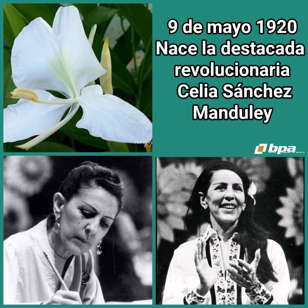 Un día como hoy 9 de mayo pero del año 1920 nació Celia Sánchez Manduley más conocida como la flor autóctona de la Revolución. Mujer valerosa, revolucionaria, dirigente destaca en la lucha clandestina. #CubaViveEnSuHistoria #CeliaVive #MatancerosEnVictoria #BPAMatanzas